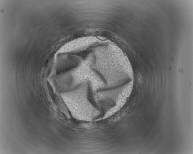 X0000082760914200702240100