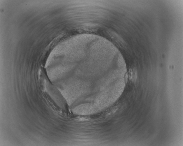 X0000082760915200702240100