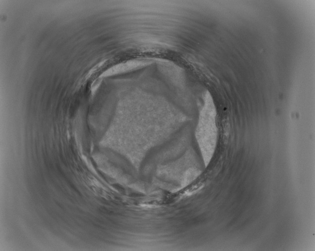 X0000082760916200702240100