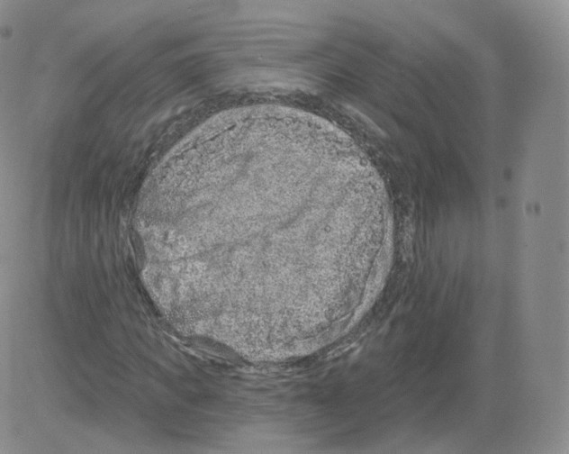 X0000082760917200702240100