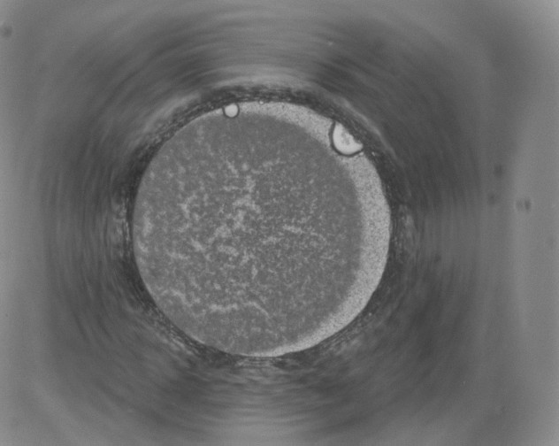 X0000082760918200702240100