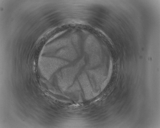 X0000082760919200702240101