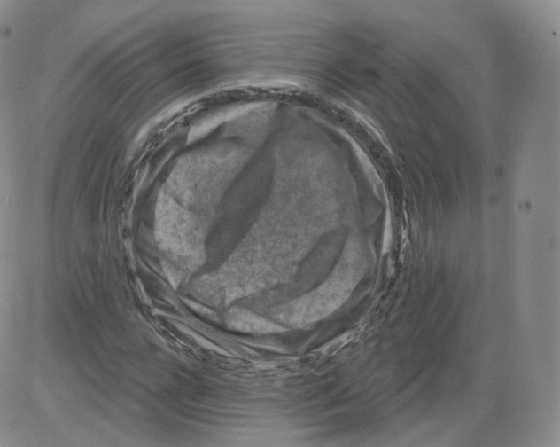 X0000082760920200702240101