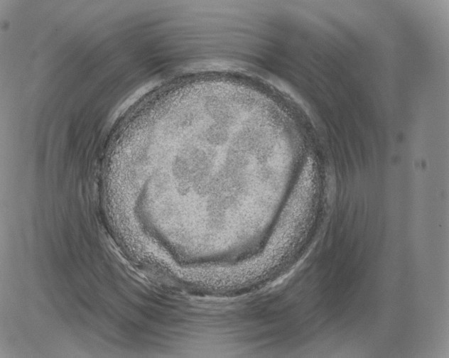 X0000082760921200702240101