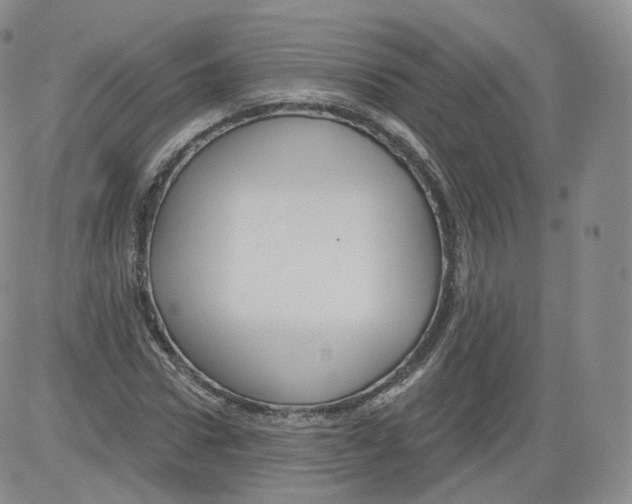 X0000082760922200702240101