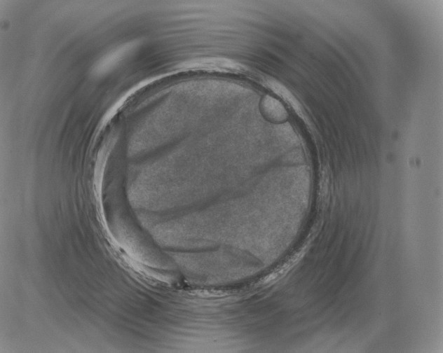 X0000082760923200702240101