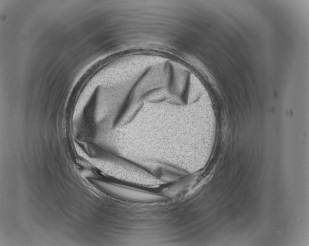 X0000082760924200702240101