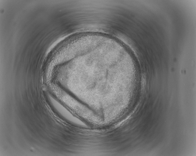 X0000082760925200702240101