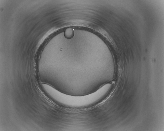 X0000082760926200702240101