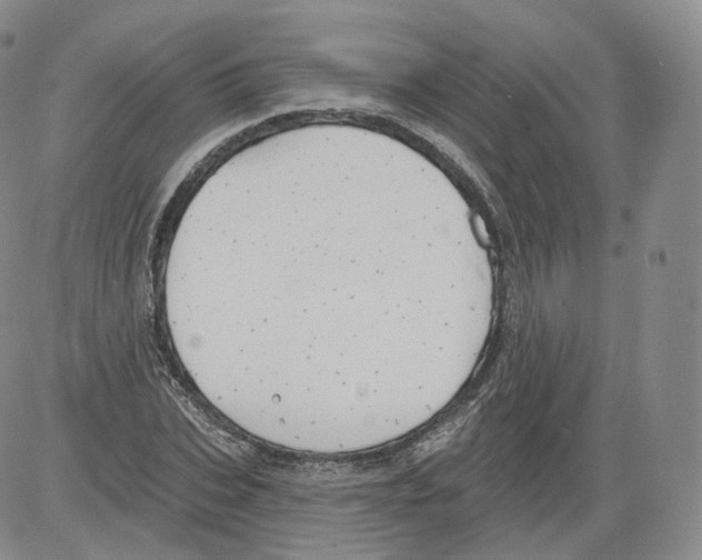 X0000082760927200702240101