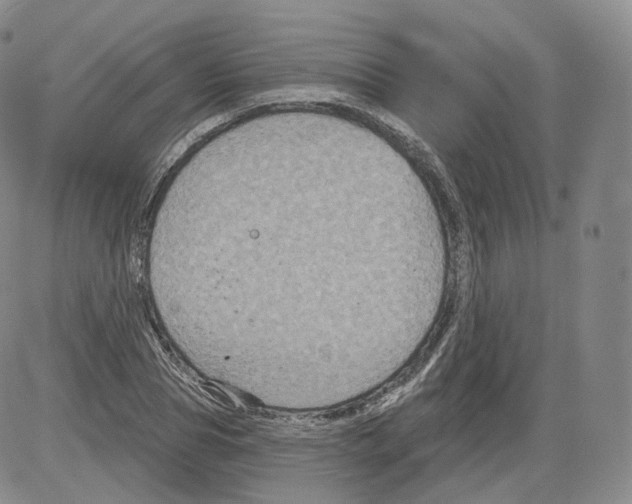 X0000082760929200702240101