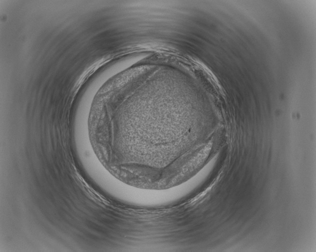 X0000082760930200702240101