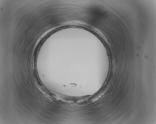 X0000082760931200702240101