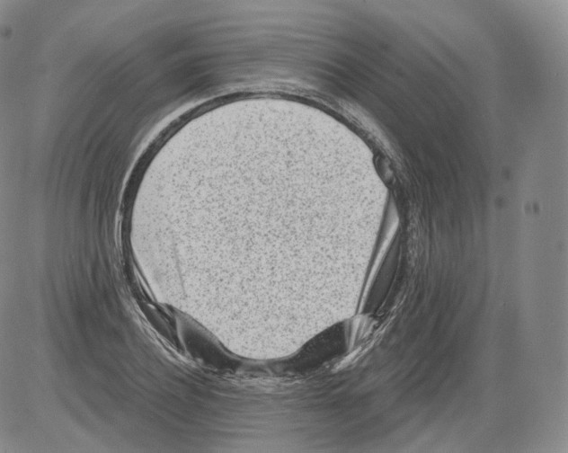 X0000082760932200702240101