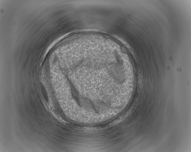 X0000082760933200702240101