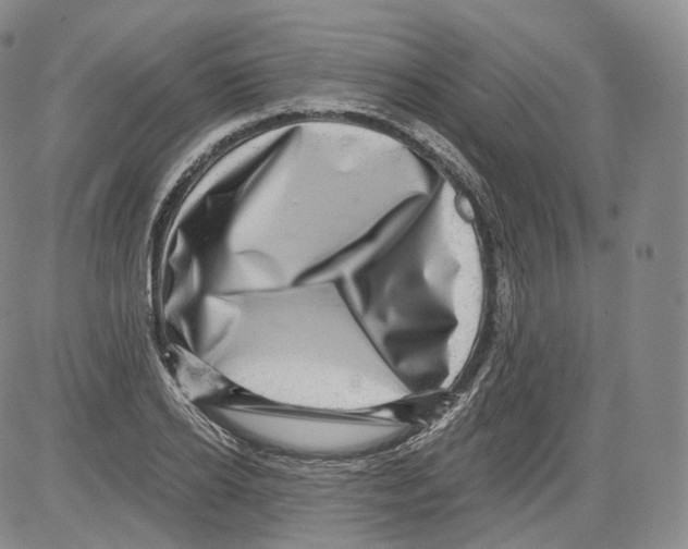 X0000082760934200702240101