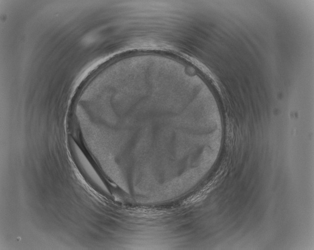 X0000082760935200702240101