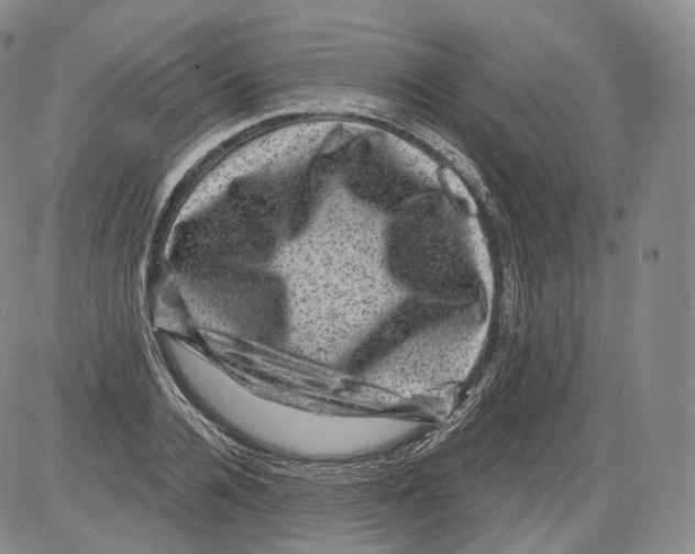 X0000082760936200702240101