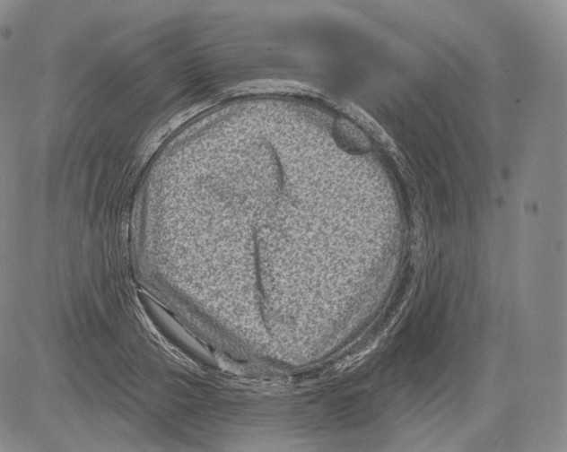 X0000082760937200702240101