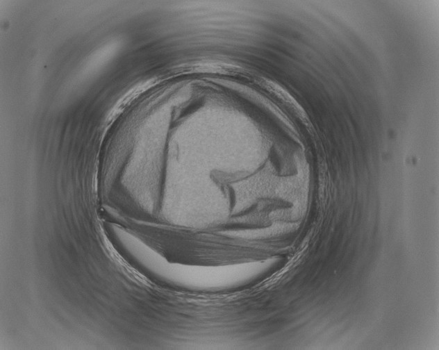 X0000082760938200702240101