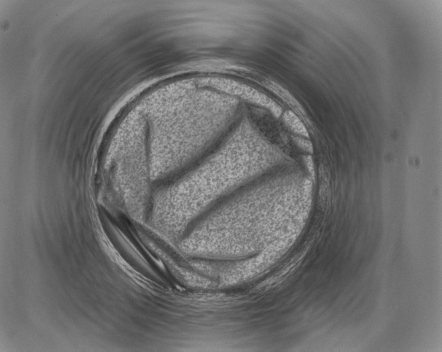 X0000082760939200702240101