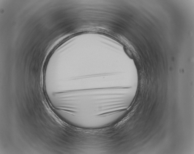 X0000082760940200702240101