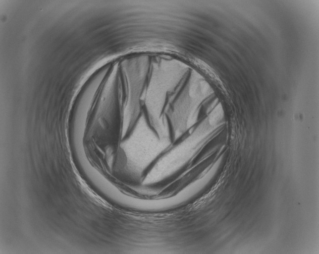 X0000082760942200702240101