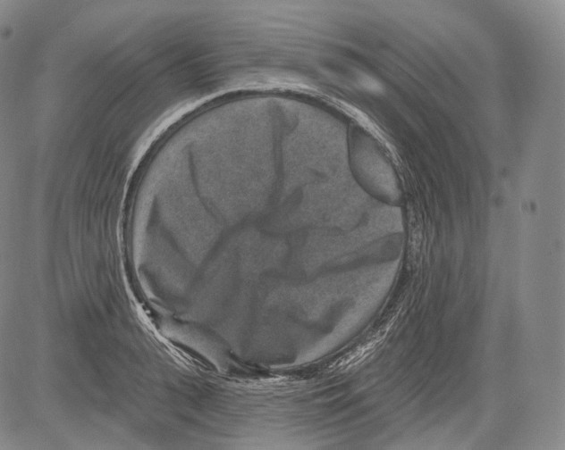 X0000082760943200702240101