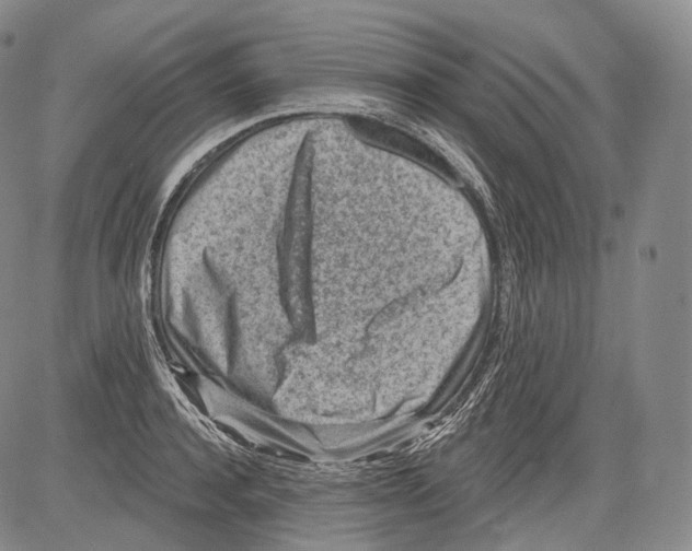 X0000082760944200702240101