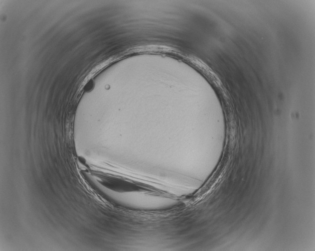 X0000082760945200702240101