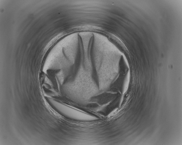 X0000082760946200702240101