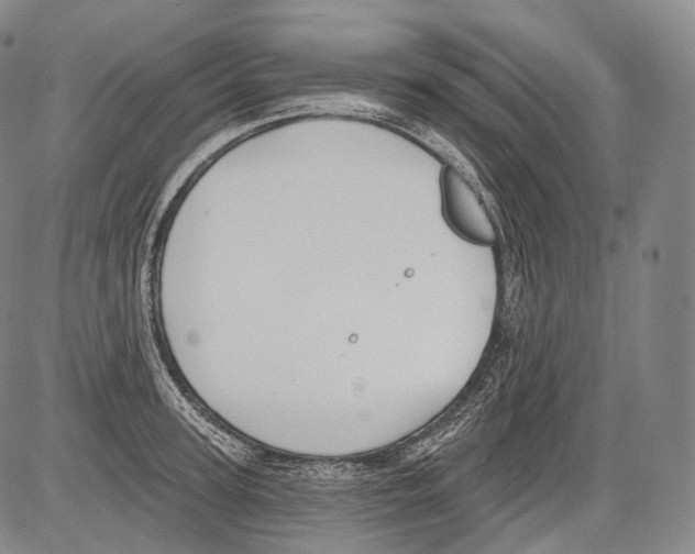 X0000082760947200702240101