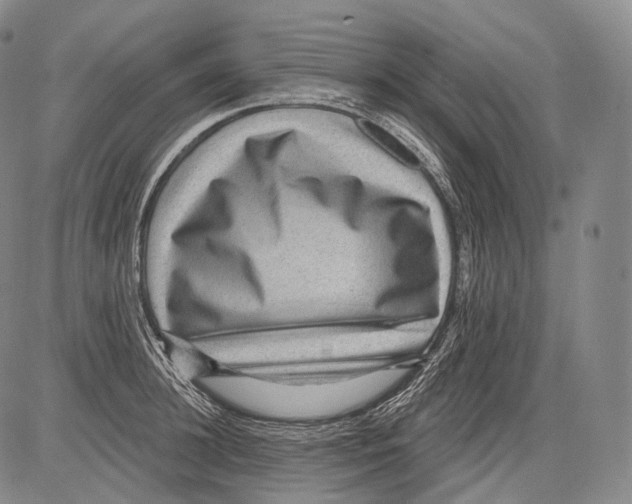 X0000082760948200702240101