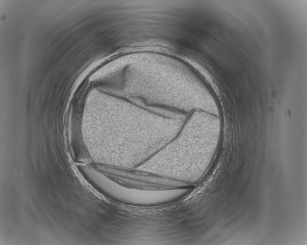 X0000082760949200702240101