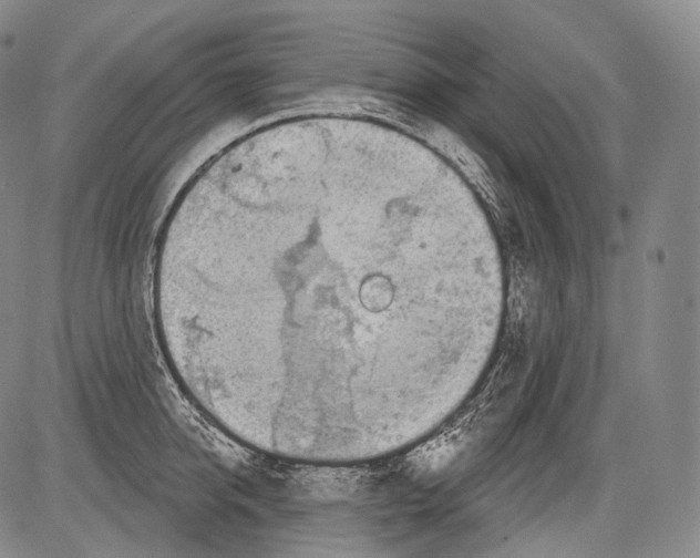 X0000082760950200702240101