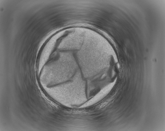 X0000082760951200702240101