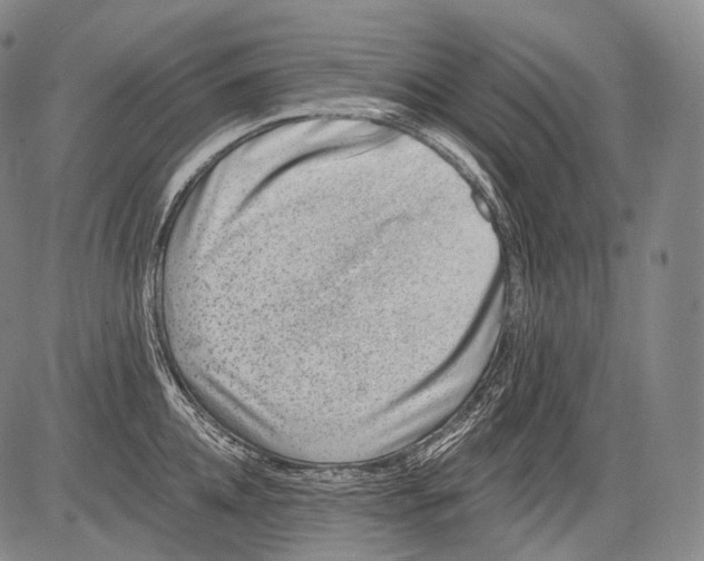 X0000082760952200702240101