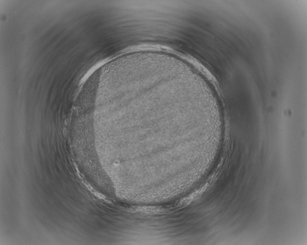 X0000082760953200702240101