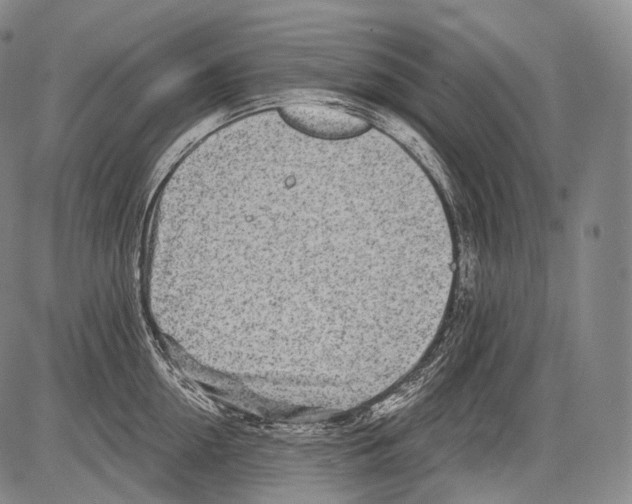 X0000082760954200702240101