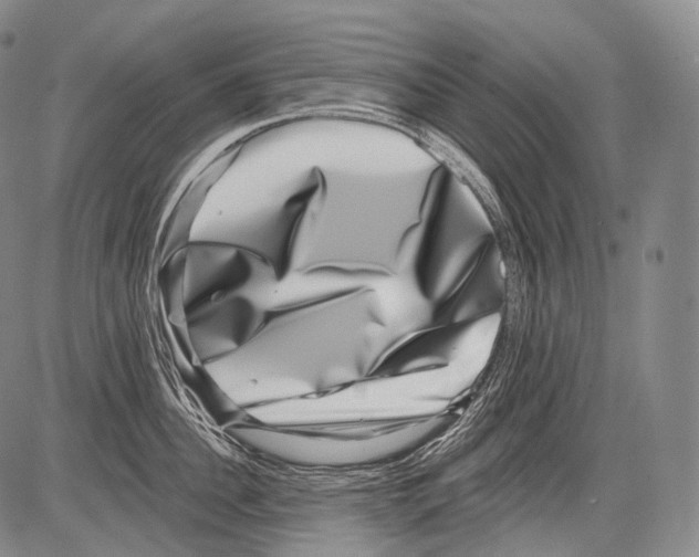 X0000082760956200702240101