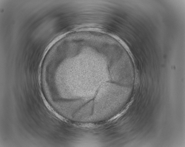 X0000082760957200702240101