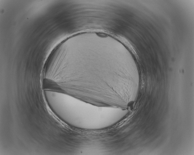 X0000082760958200702240101