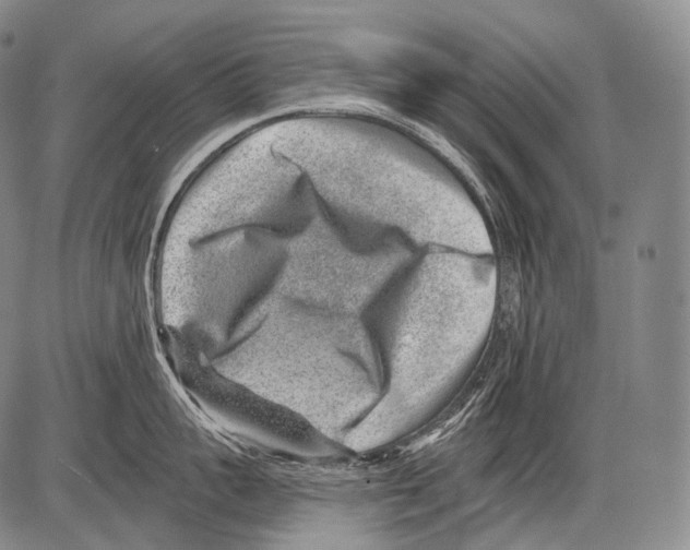 X0000082760959200702240101