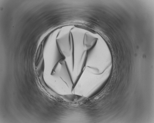 X0000082760960200702240101