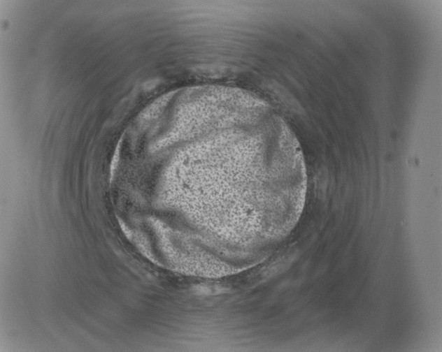 X0000082760961200702240100