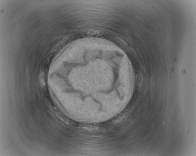 X0000082760962200702240100