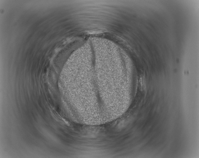 X0000082760963200702240100