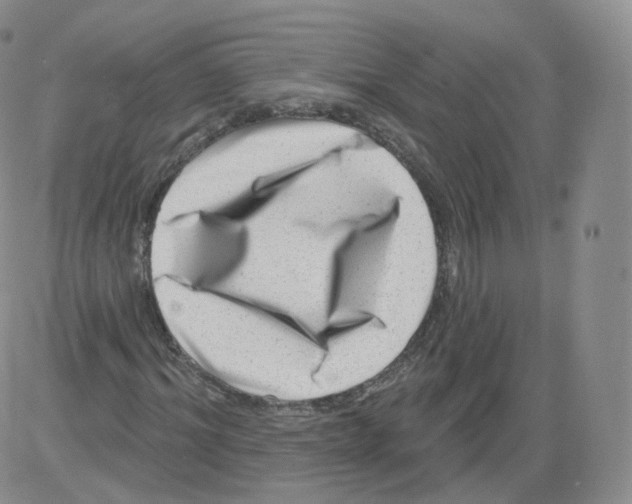 X0000082760964200702240100