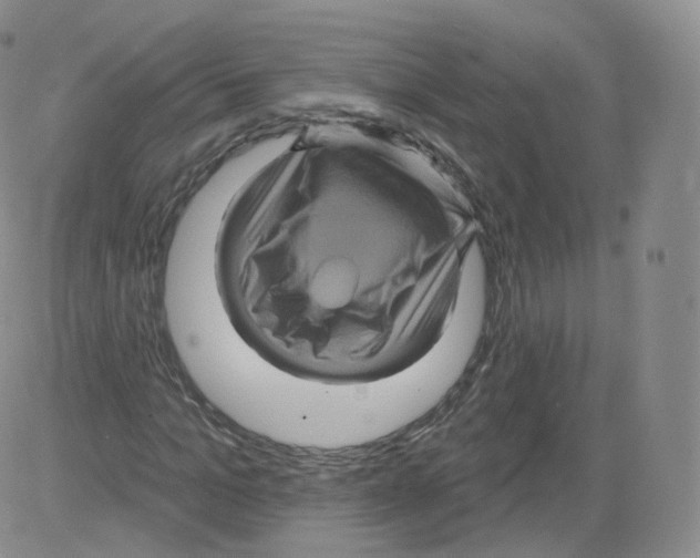 X0000082760965200702240100