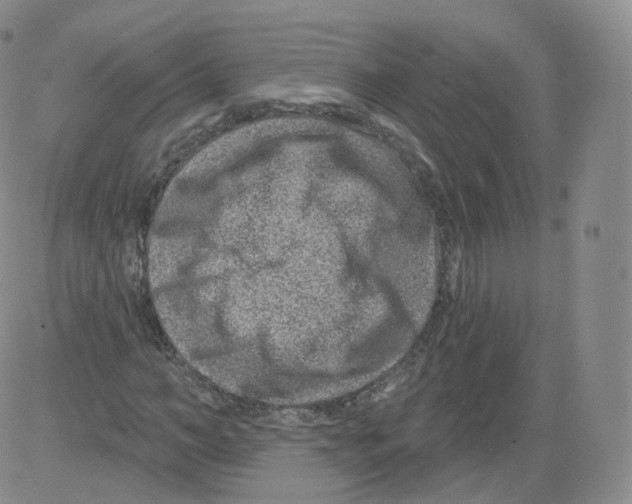 X0000082760966200702240100